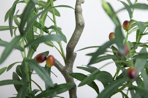 光触媒人工観葉植物オリーブ 高さ85cm 造花植物 人工植物 フェイクグリーン（1185）