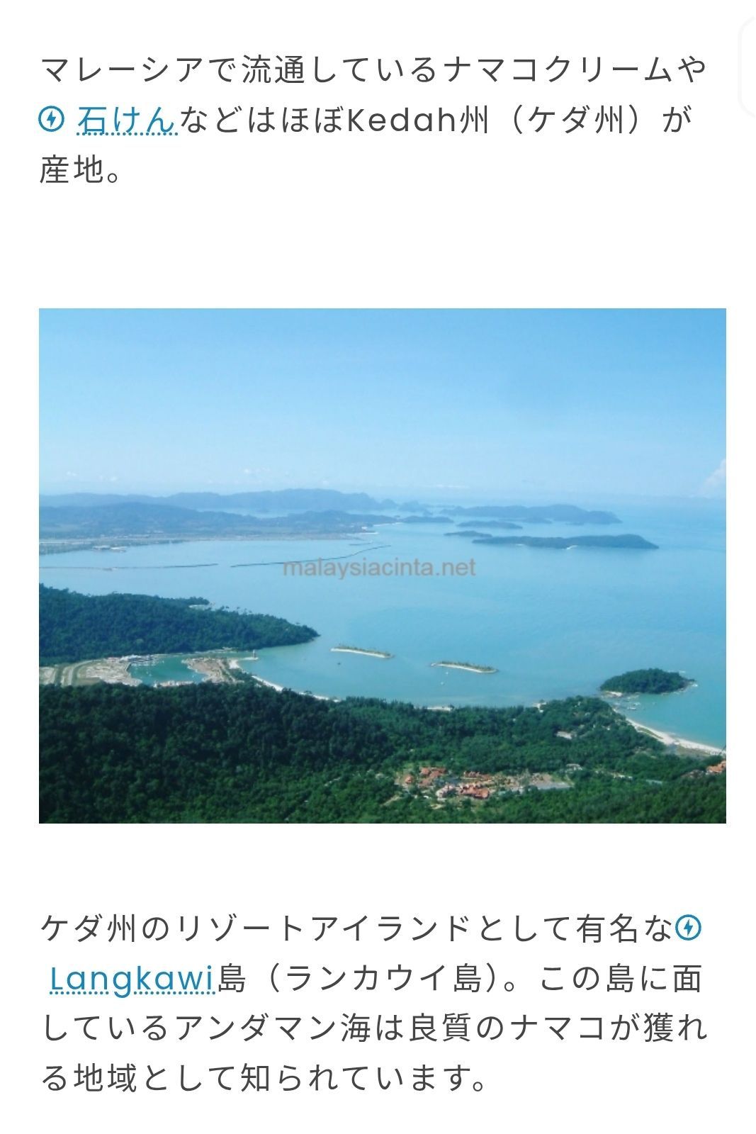 マレーシア産　なまこクリーム １０個 【ピサンランカウイ】　【5】 マレーシア産 なまこクリーム5個 【ランカウイ】GAMAT CREAM