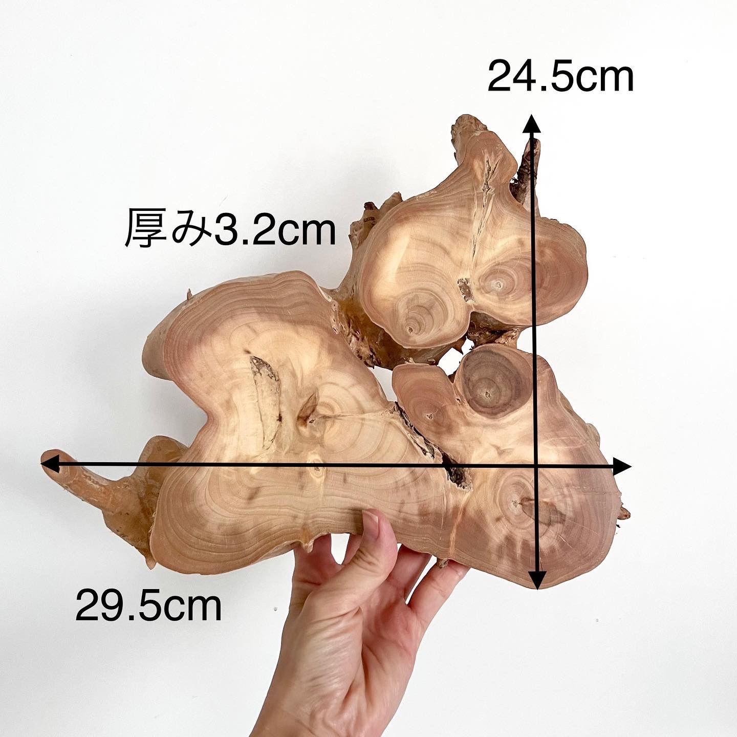 イチョウ③ 無垢材 銘木 天然木 ハンドメイド DIY 商品撮影 インテリア