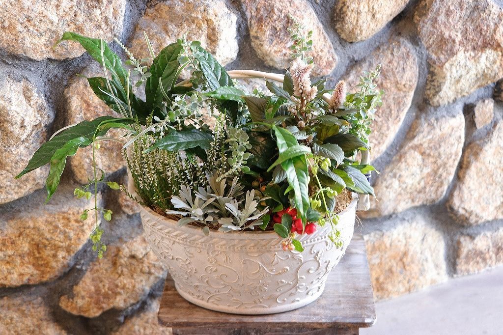 当店オリジナル 持ち手付き♪秋の草花のエレガントスタイル寄せ植え 現品１９５