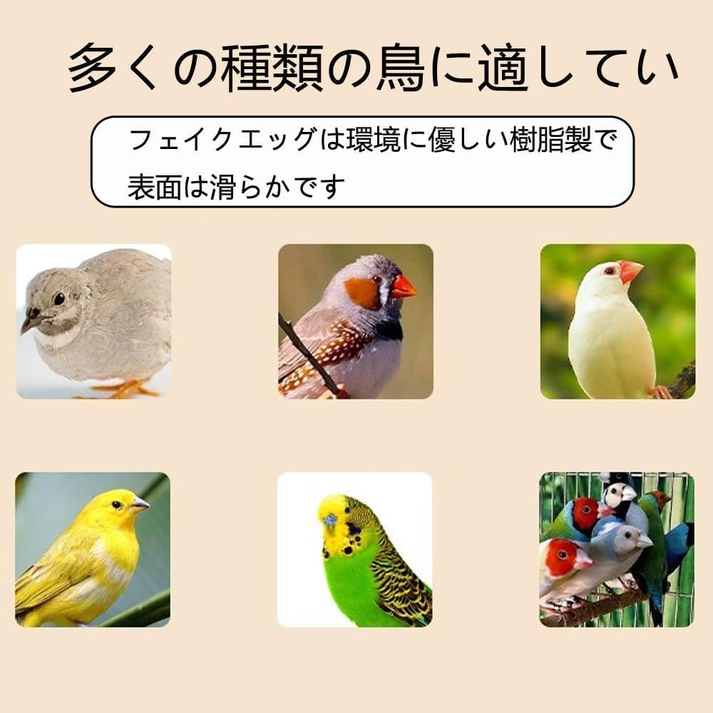 小鳥 鳥おもちゃ