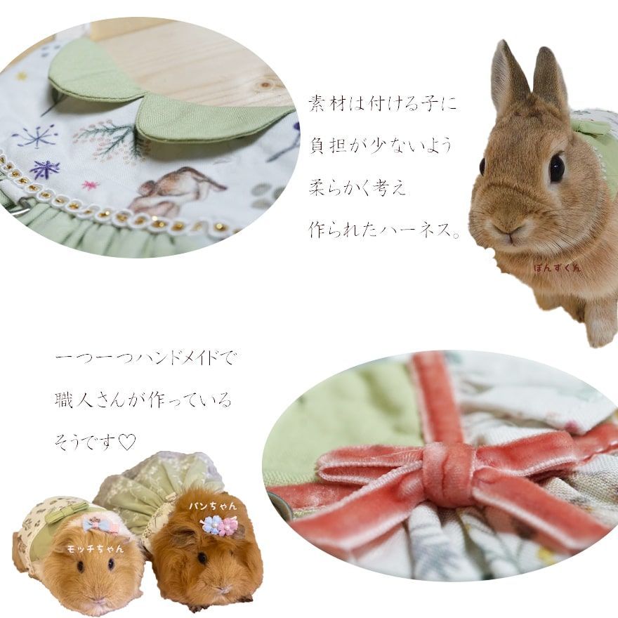 うさぎ ハーネス＆リードセット ドレス ハンドメイド 支離滅裂