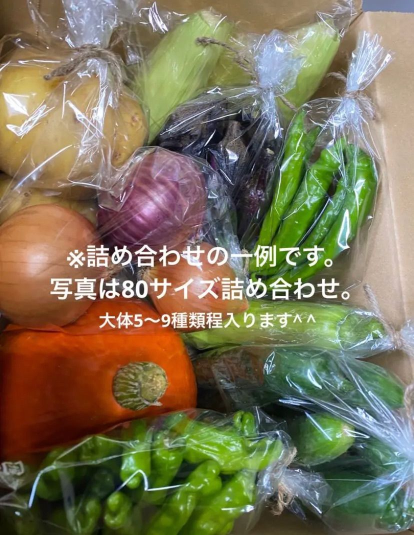 岩手県産 新鮮野菜の詰め合わせ　60サイズ ⚠︎クール便⚠︎ おまかせ野菜BOX