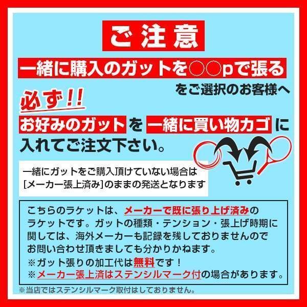 バボラ(Babolat) 2024 BOOST STRIKE ブーストストライク (285g) 海外