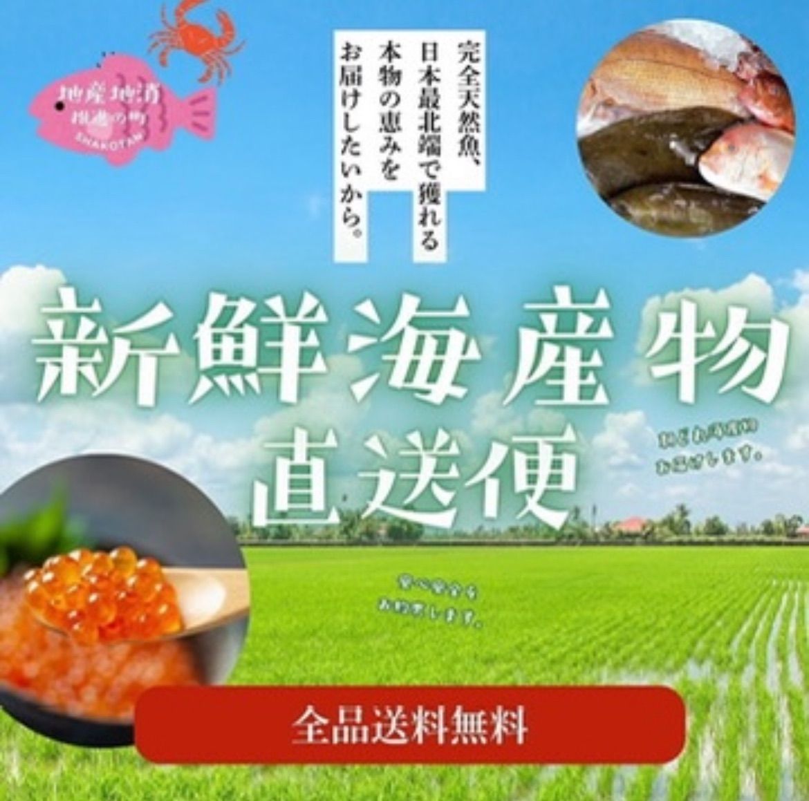 うに様 北海道積丹産】生うに【100g】北海道産 天然 キタムラサキウニ