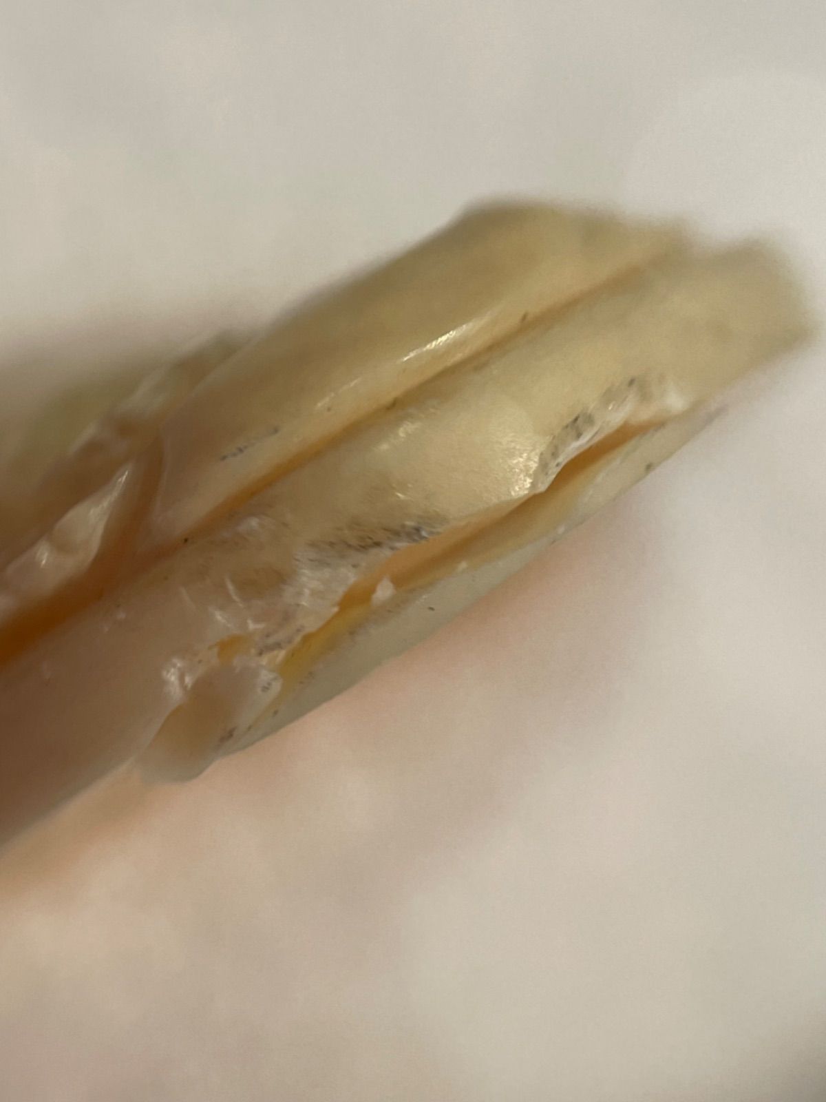 ☆珊瑚 カメオ 優美な横顔 - 天然桃珊瑚カメオブローチ（シルバー