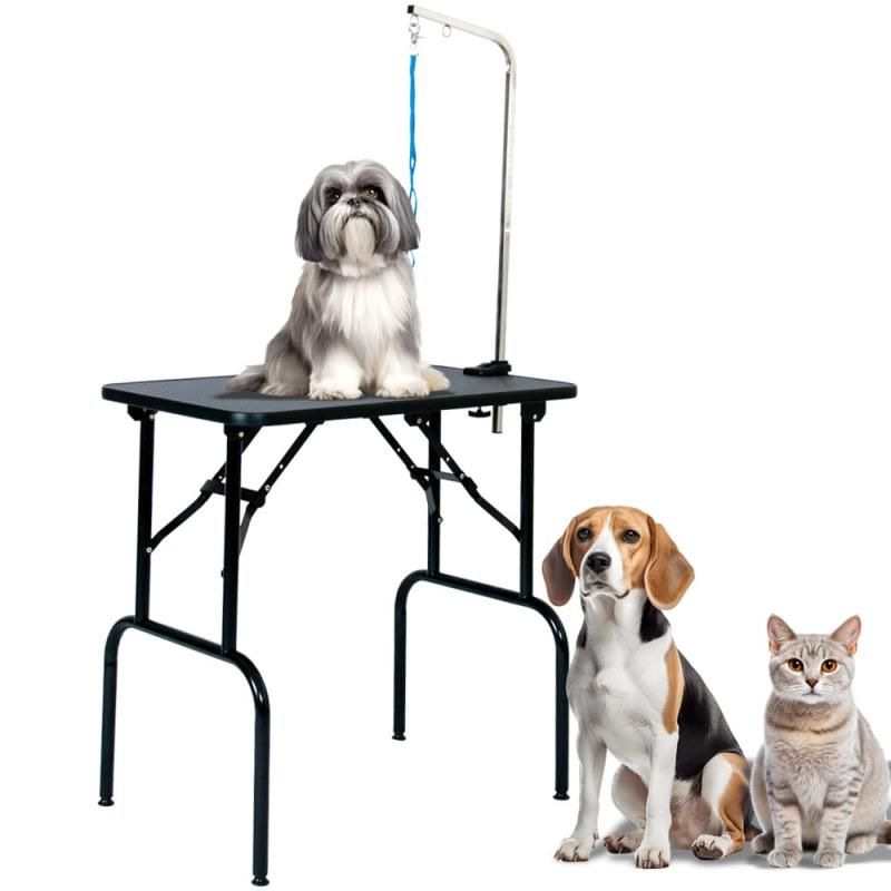 ジェラートピケ 【キャットアンドドッグ】 スムーズィーシャークハウス