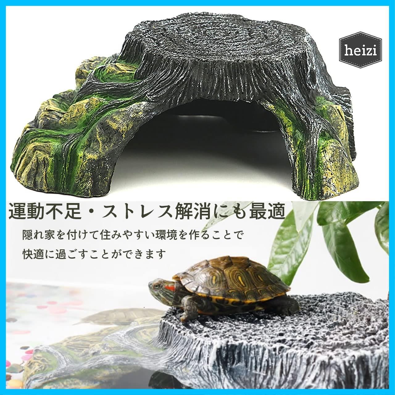 亀 浮島