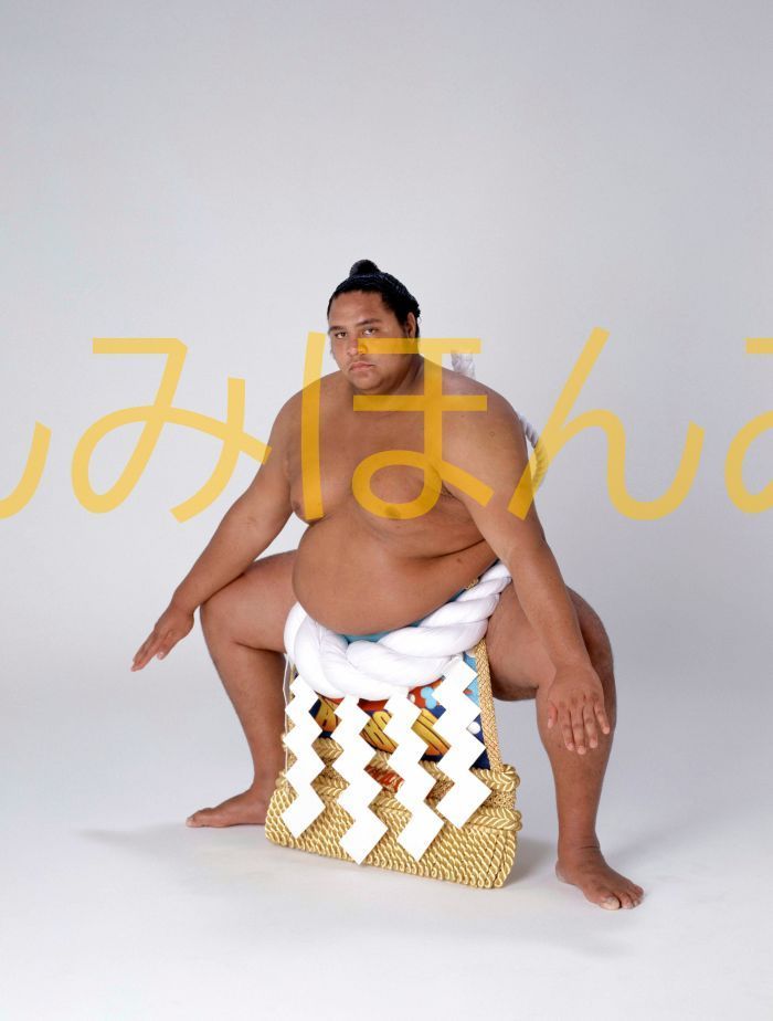 曙太郎関 優勝ミニ額 大相撲ミニ額 大相撲優勝額 平成5年9月場所