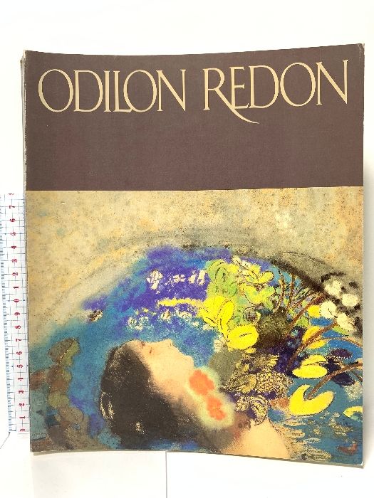 図録 オディロン・ルドン展 ODILON REDON 東京新聞 1989 - メルカリ