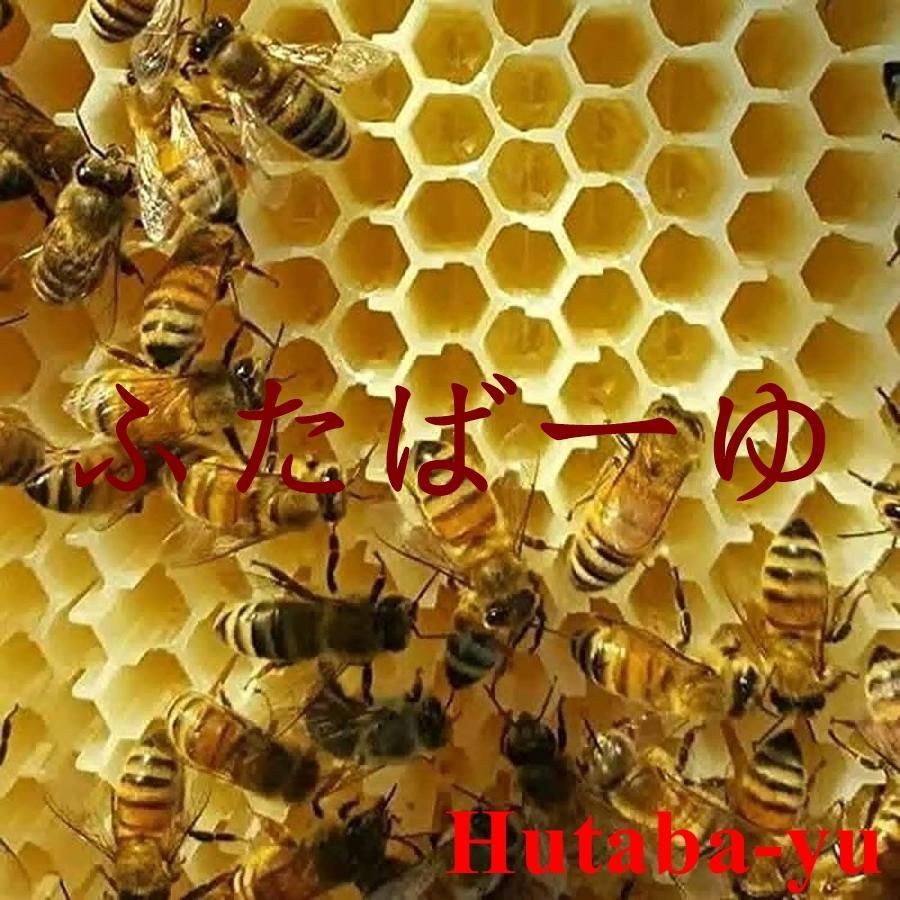 4|7個