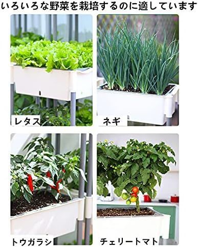家庭菜園