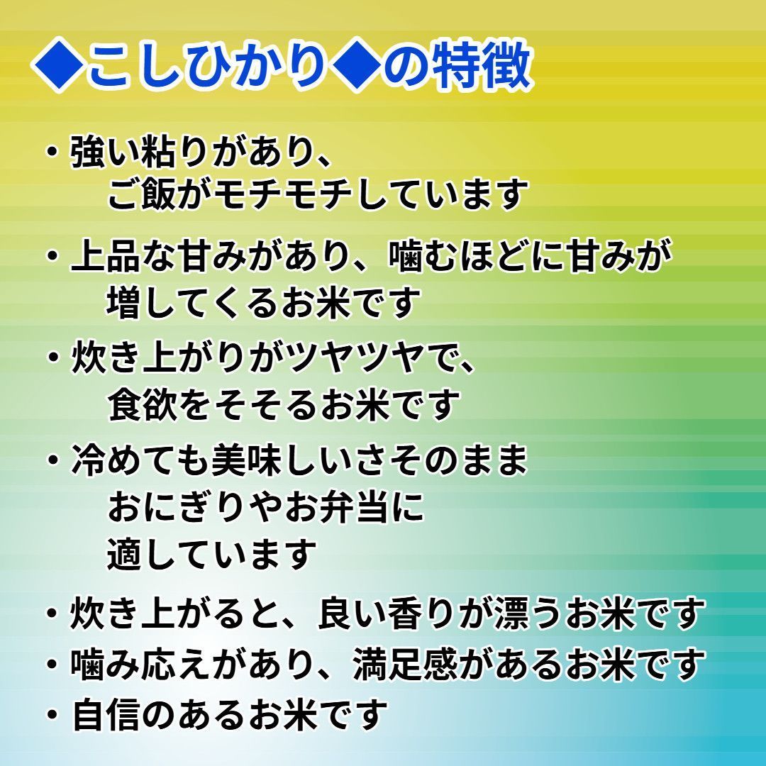 食べ応え