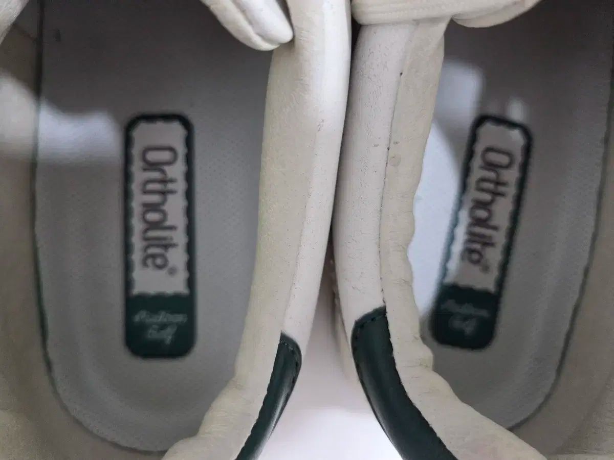 ゴルフシューズ 255