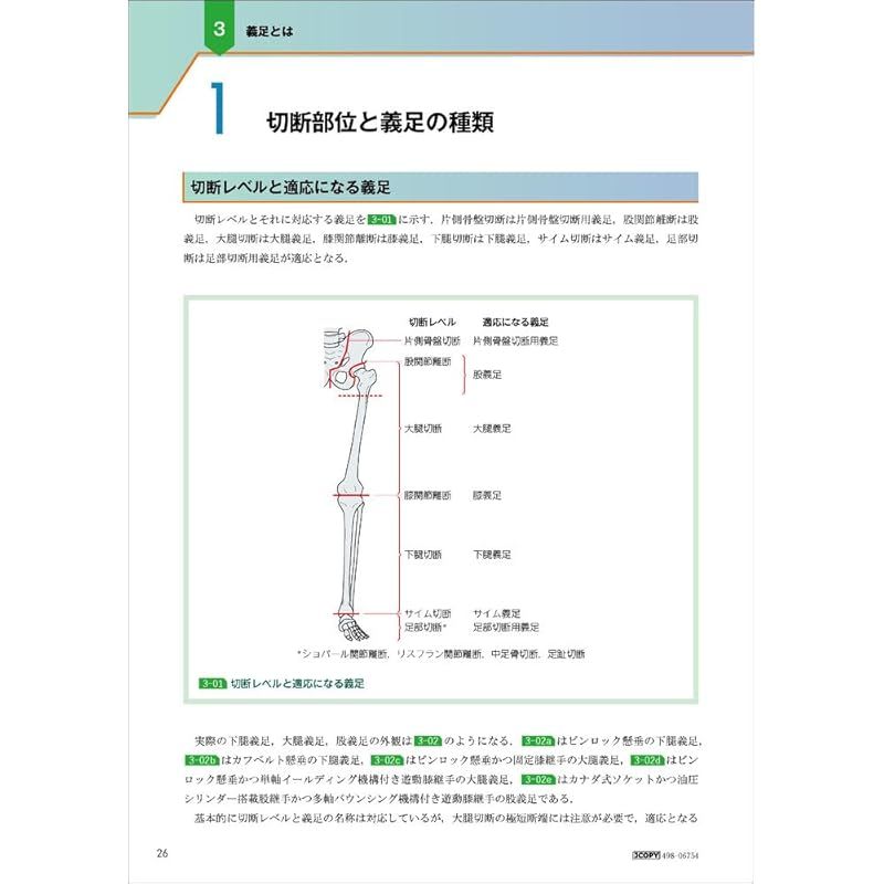 下肢切断術と義足リハビリテーション