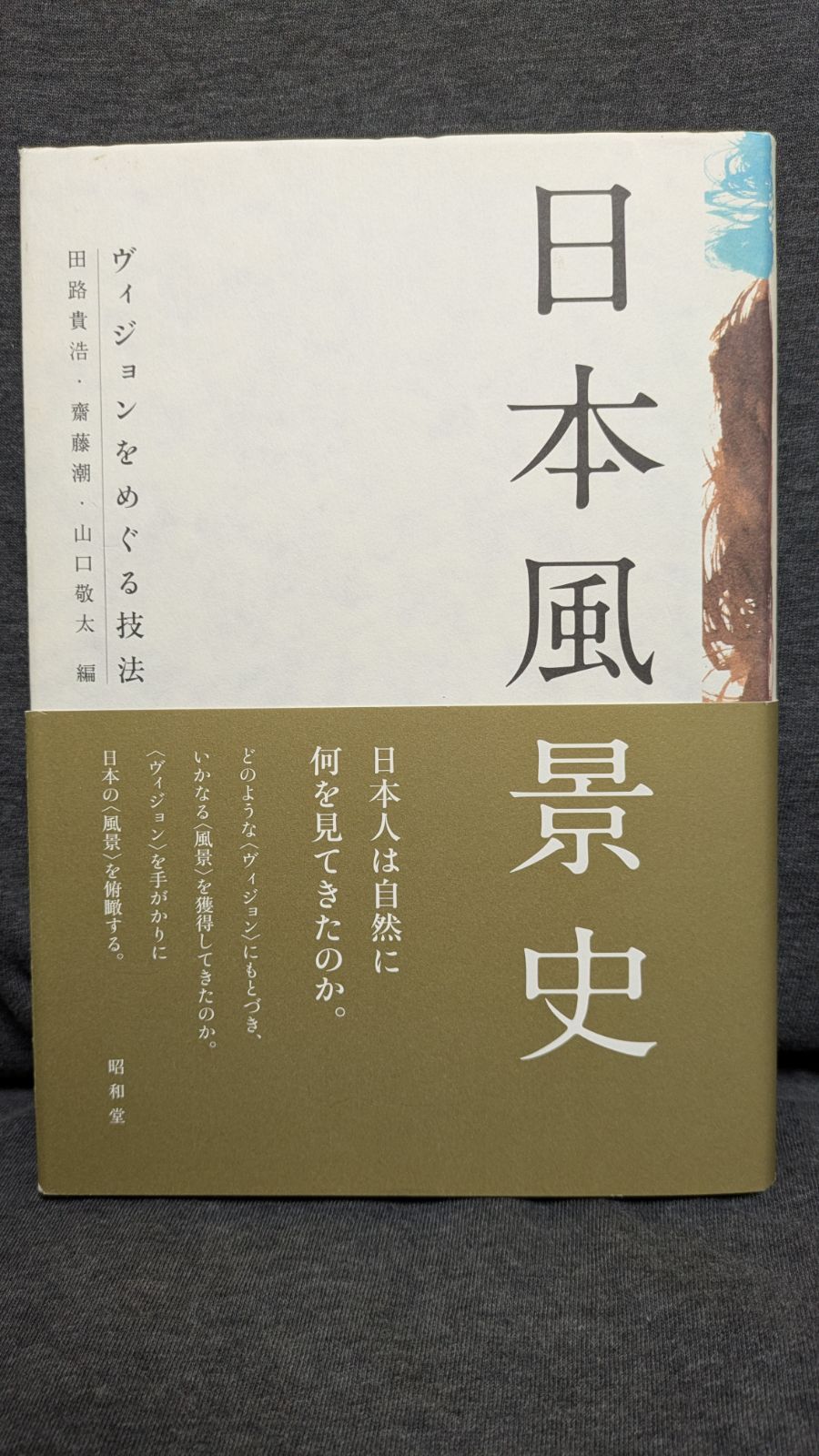 日本風景史 ヴィジョンをめぐる技法 (田路貴浩・齋藤潮・山口敬太編