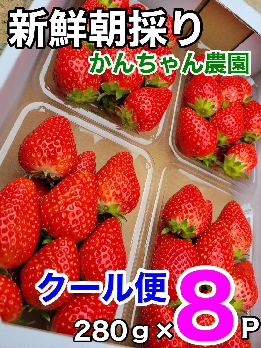 8P入》【クール】愛媛県産新鮮朝採りいちご - メルカリ