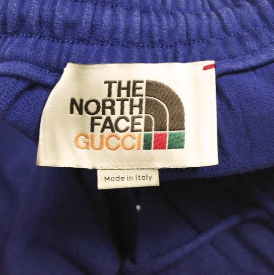 GUCCI x THE NORTH FACE グッチ ザ・ノースフェイス 21AW 別注