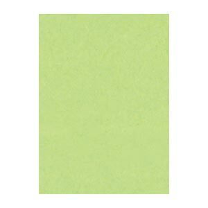 リンテック ニュー Ｒ 4 NCR-243 わかくさ