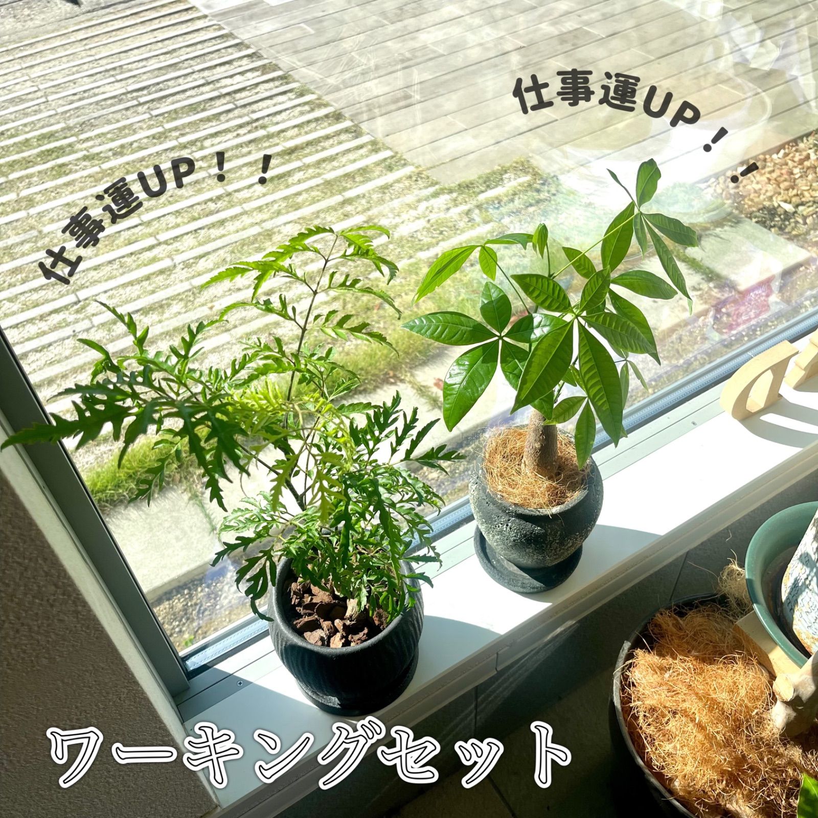 絵画 840 油絵/抽象画風/樹皮/パターン/P15号 並木修一郎 「 黄金富士