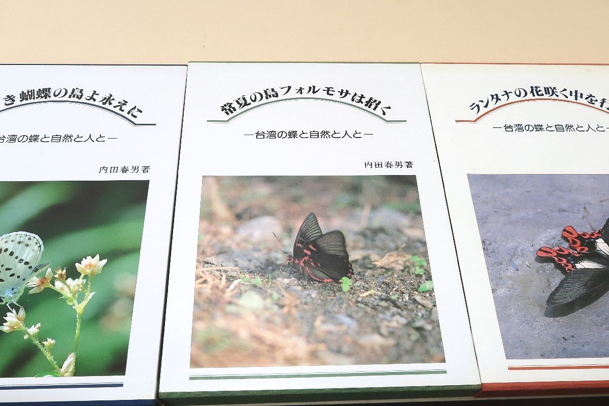 アガベ レア 台湾の星 フォルモサ スター 発根済み イシスメンシス