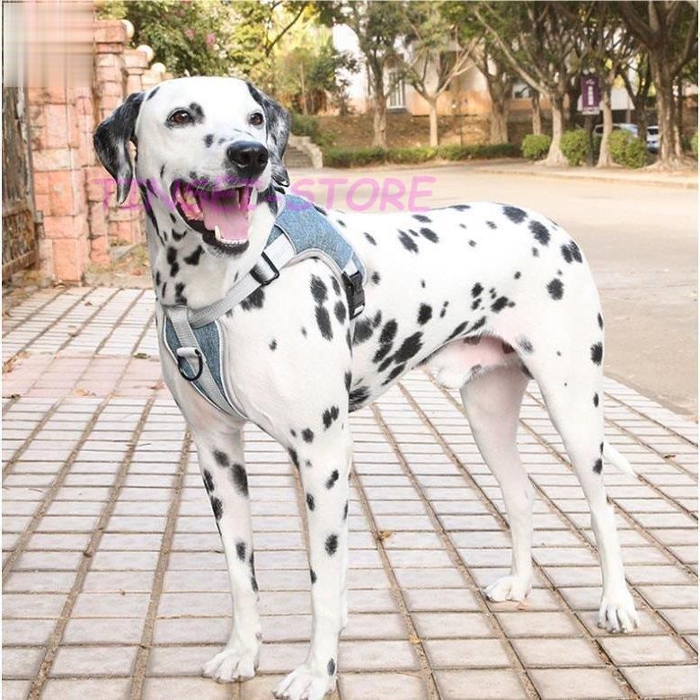 コーチ COACH 犬用 ワンちゃん 首輪＆リード セット S シグネチャー 新品✨未使用COACH 犬の首輪シグネチャー ボーン チャーム ドッグ