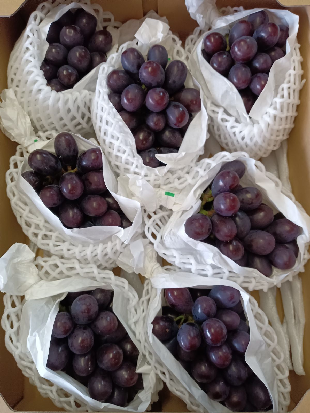 大分県日田産 マスカットノワール 種無しぶどう 7房 皮ごと食べられます