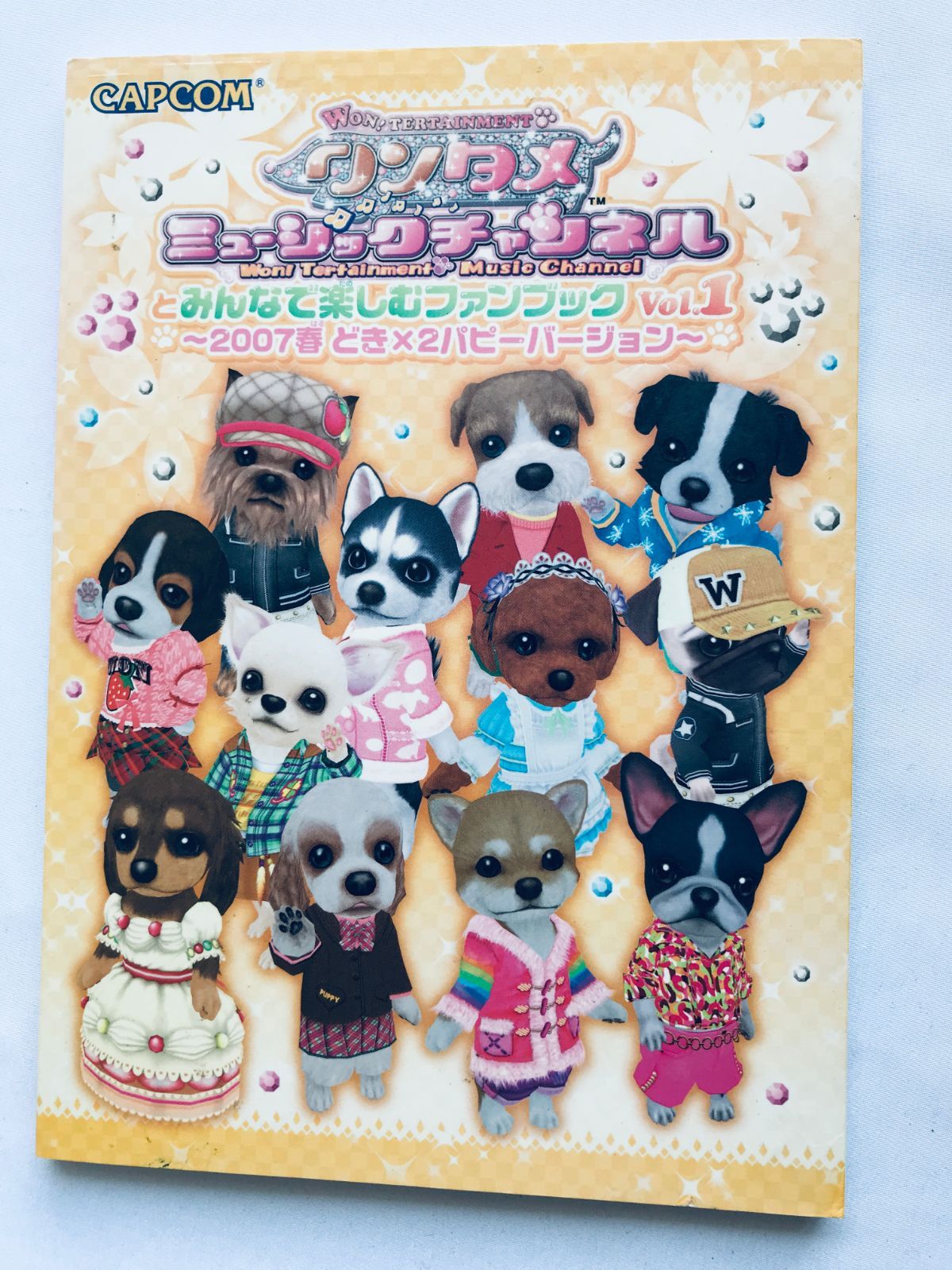 ワンタメ ミュージックチャンネルとみんなで楽しむファンブック