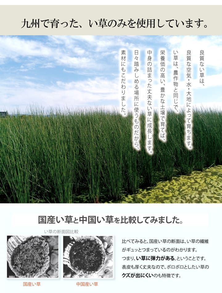 70×120cm