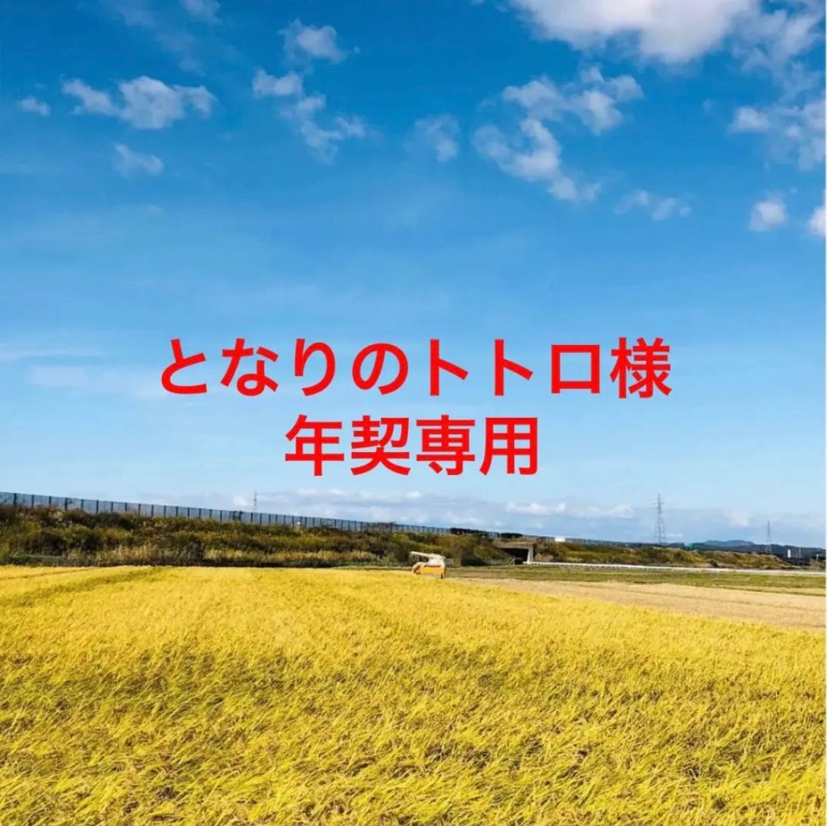 【となりのトトロ様 年契専用】令和５年度新米あきたこまち中粒米精米25Kg