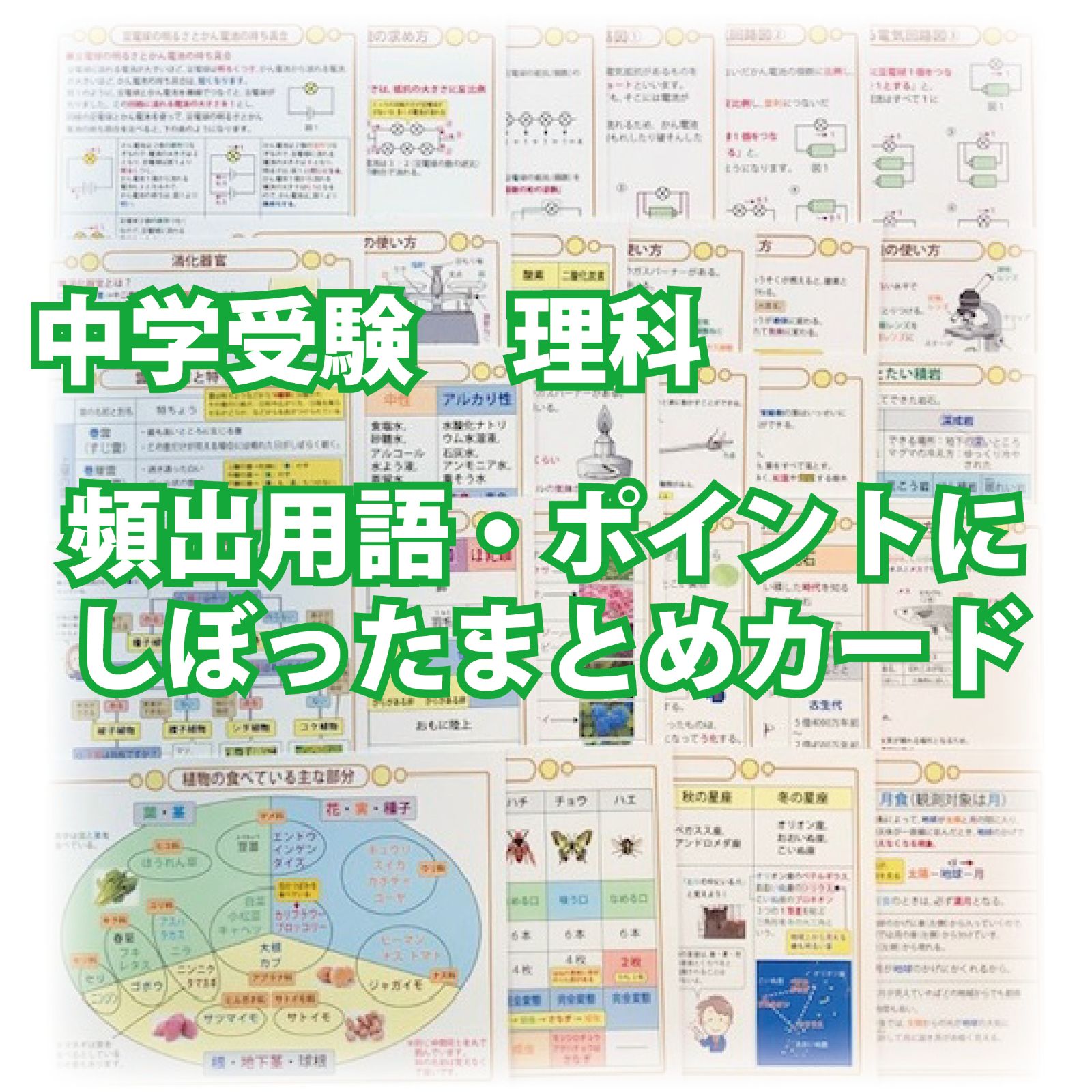 中学受験・理科　頻出用語・ポイントにしぼったまとめカード