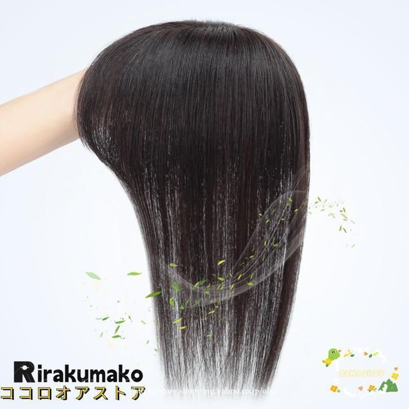 総手植え ウィッグ