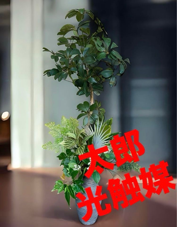 光触媒　人工観葉植物　ウォールグリーン　フェイク　アレンジ　702040 光触媒 人工観葉植物 ウォールグリーン フェイク アレンジ 702040