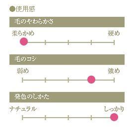 CHIKUHODO 熊野筆化粧筆 竹宝堂 レギュラーシリーズ ファンデーション