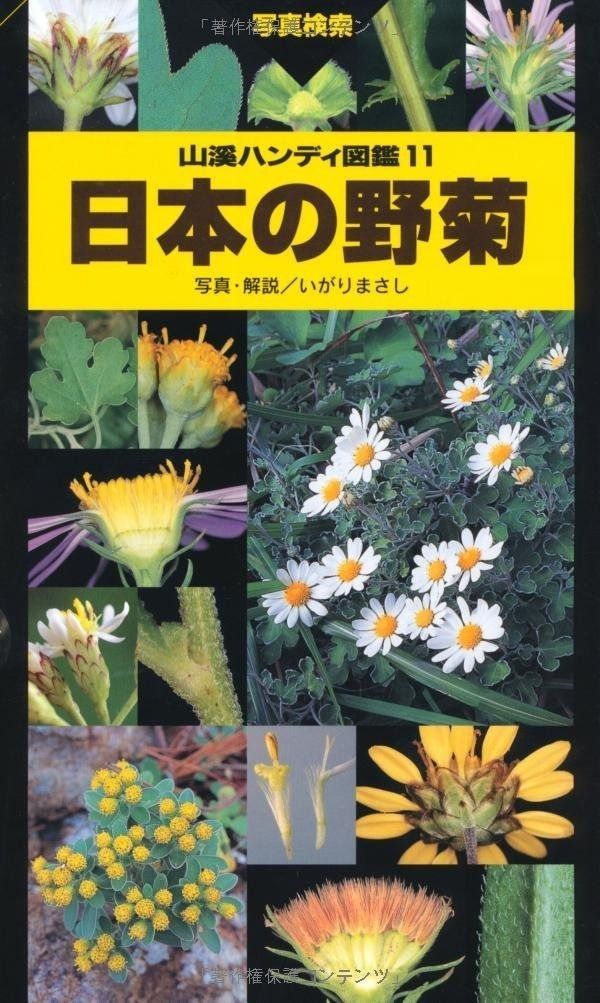 日本の野菊 山溪ハンディ図鑑 山溪ハンディ図鑑 11