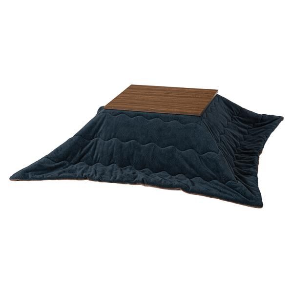 旧裏 わるいヤドラン ☆ ショップ サンダー デンリュウ メガニウム