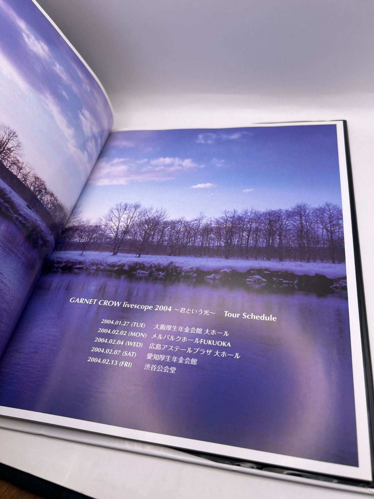 □レア□GARNET CROW□パンフレット□livescope 2005□ 2026年最新
