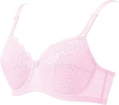 シャンデール エレガント 高級補正下着 ブラジャー ピオニーパープル