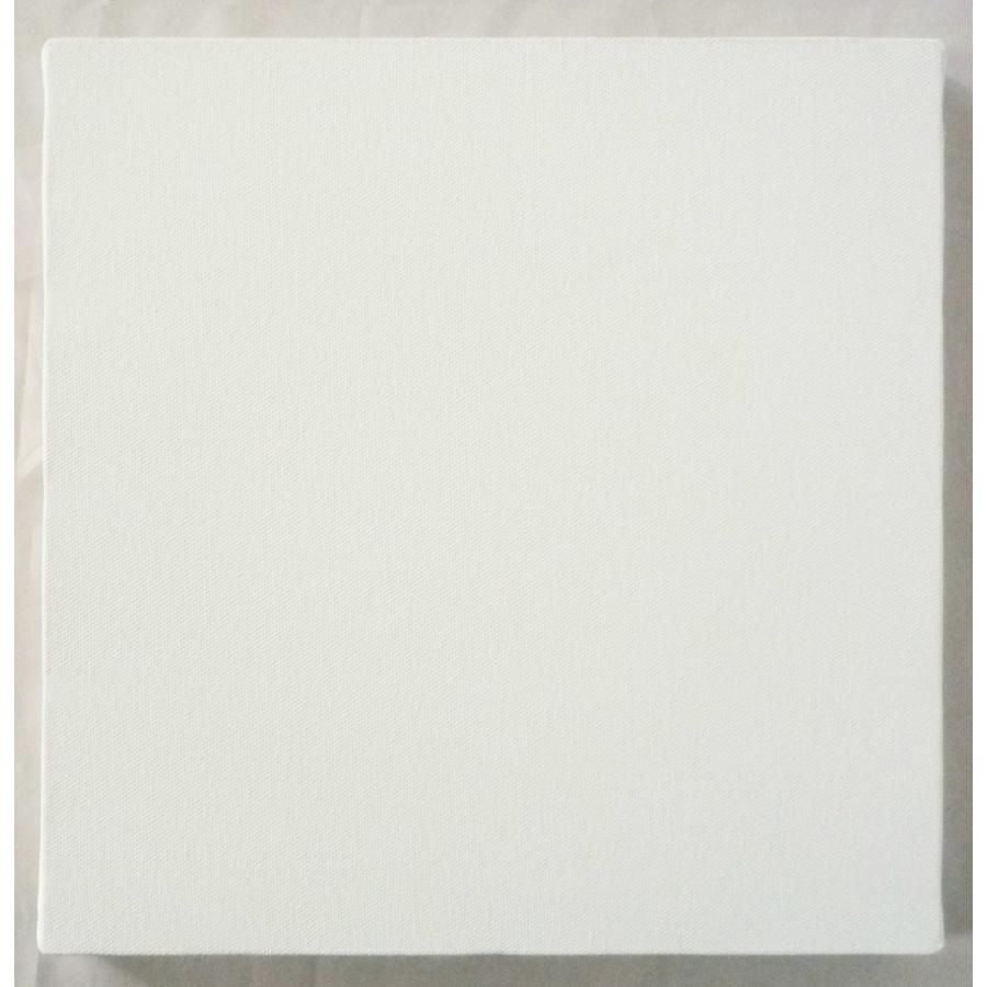 画材 油絵 アクリル画用 カットキャンバス 純麻 絹目 FS (F,M,P)8号サイズ 10枚セット 画材 油絵 アクリル画用 カットキャンバス 純麻 絹目 FS S30号サイズ 20