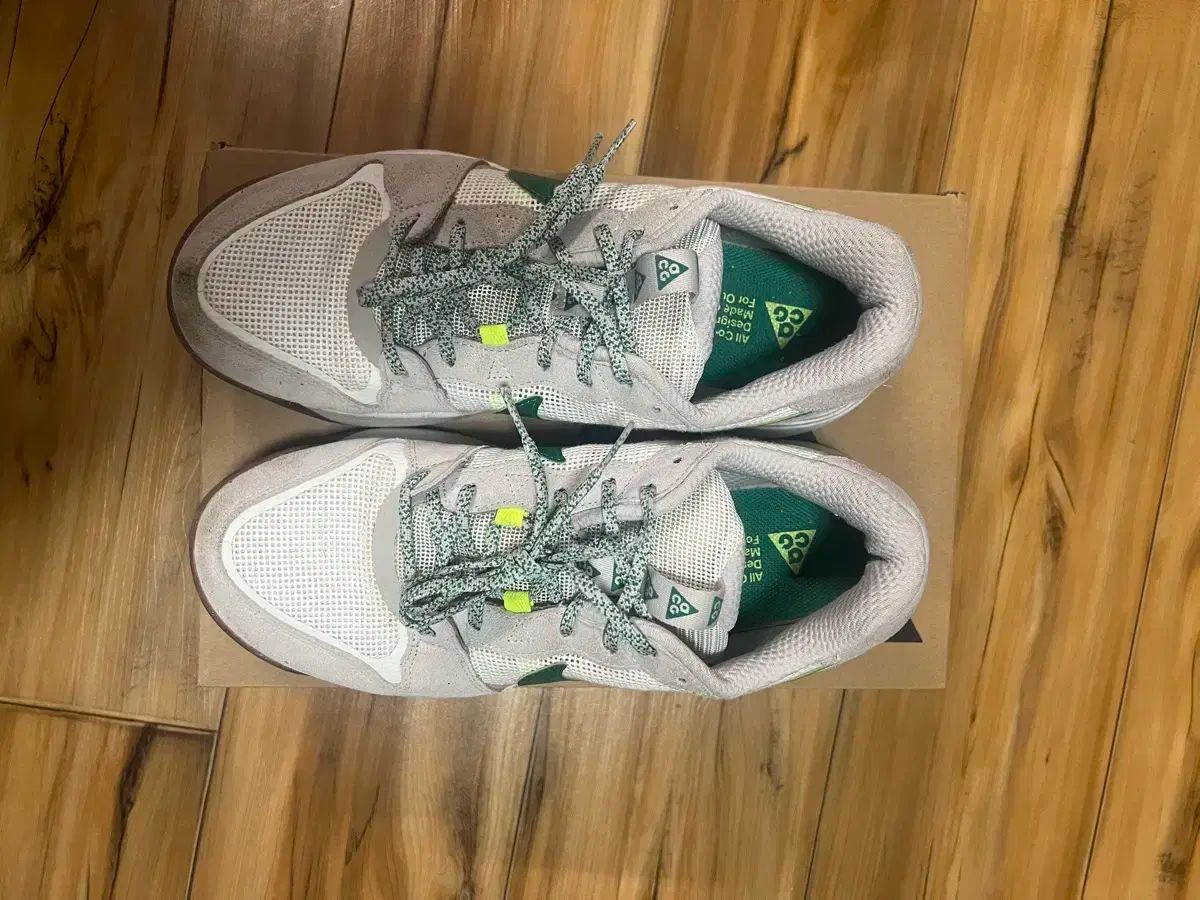 NIKE ナイキ ACG ローケート ライト アイアン オア 265