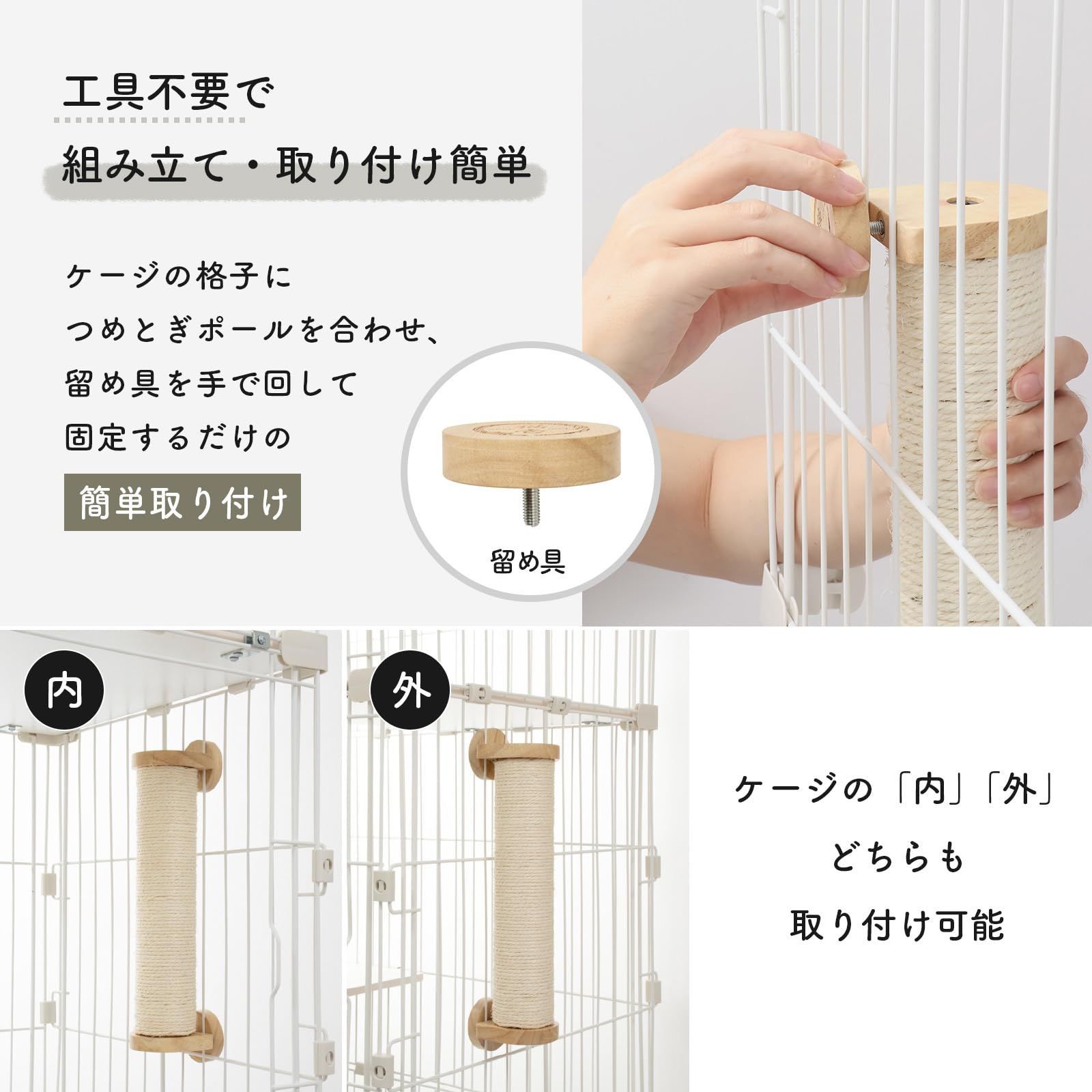 猫壱