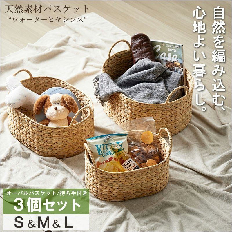 Top【選抜株】多肉植物 24182ワイト ロバーHyb48個 鉢無し/脱土 割引