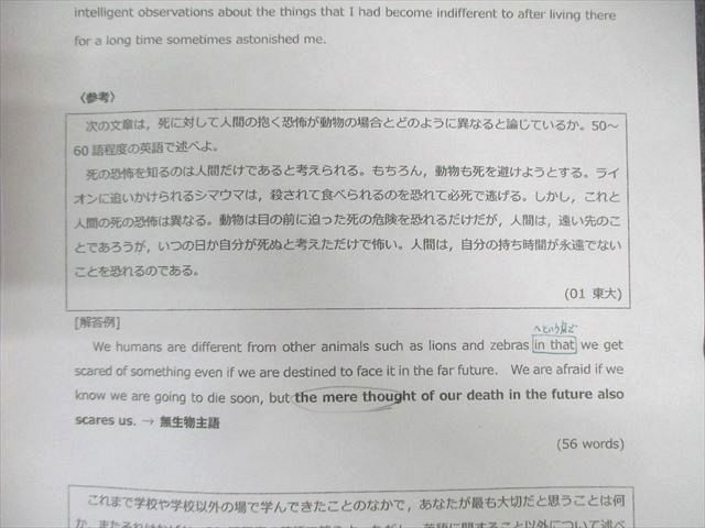 駿台 長文英作演習 テキスト通年セット 2024 計2冊 西村明