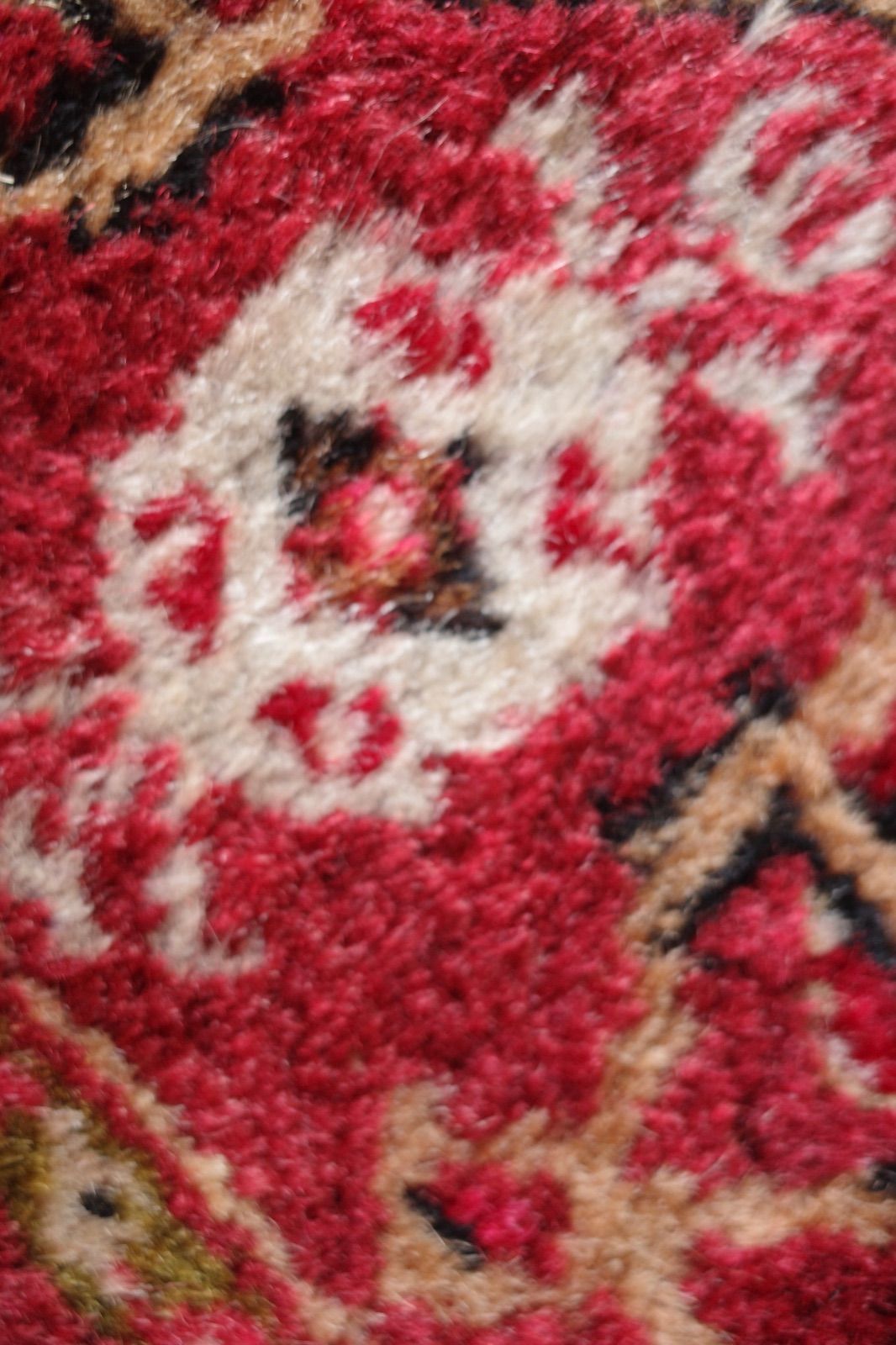 クルシェヒル絨毯