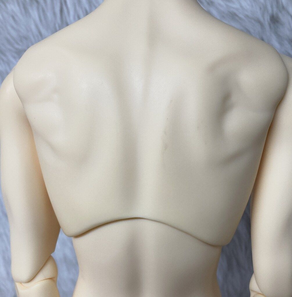 芸能人愛用のルームウェア ボディのみ SD17男の子 ボークス 新膝 メルカリ - ノーマル肌 その他