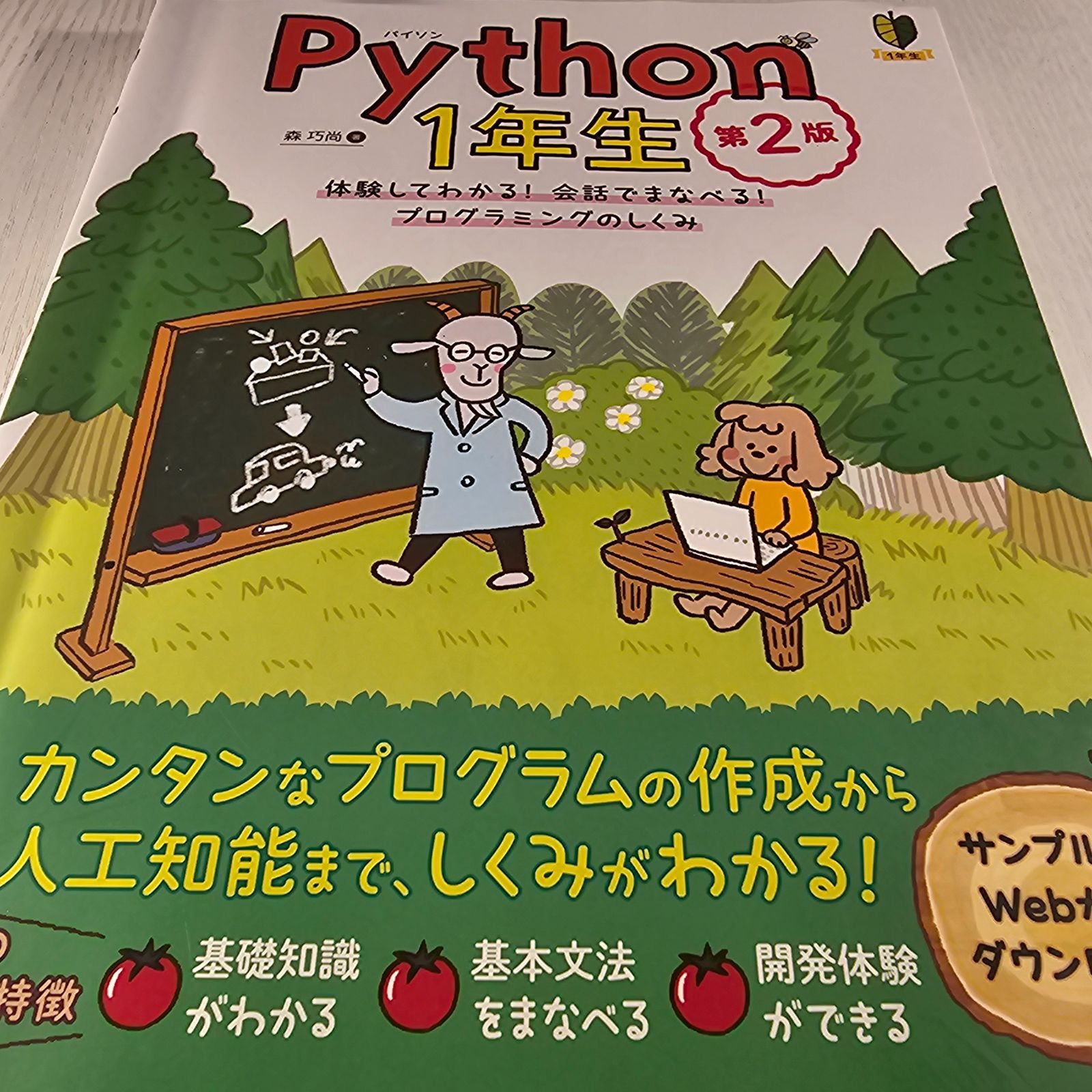 Python1年生 第2版 体験してわかる!会話でまなべる!プログラミングのしくみ - メルカリ