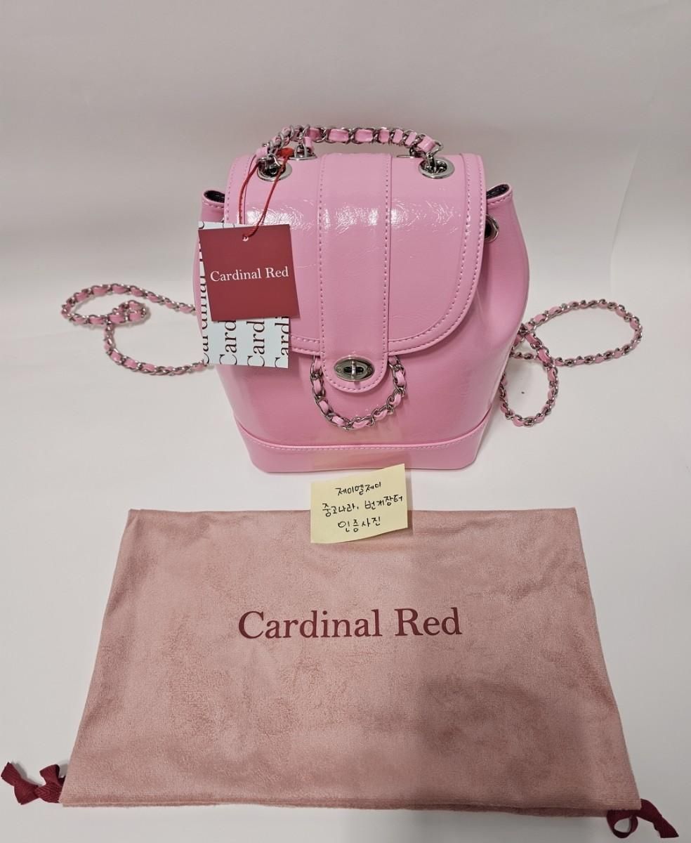 大幅値下げ‼️Hawoo-a bag 韓国 Cardinalred Cardinal Red Hawoo-a bag