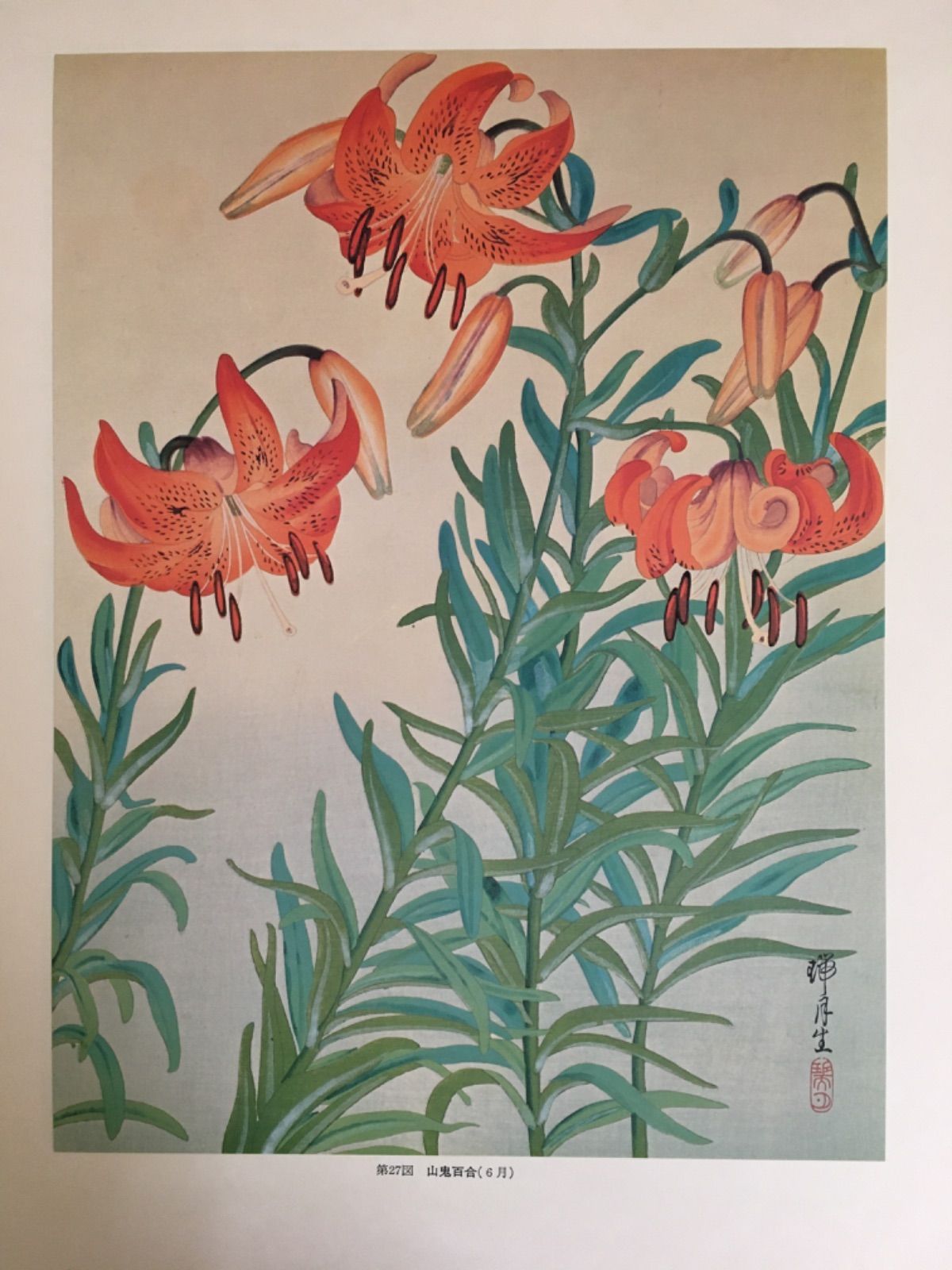 瑞月草花画譜 - メルカリ