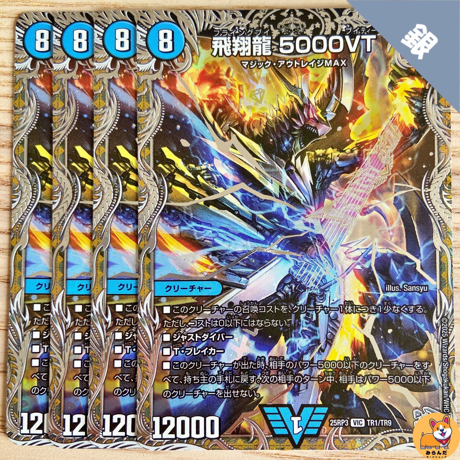 DM25-RP3】[TR]飛翔龍 5000VT 銀 - メルカリ