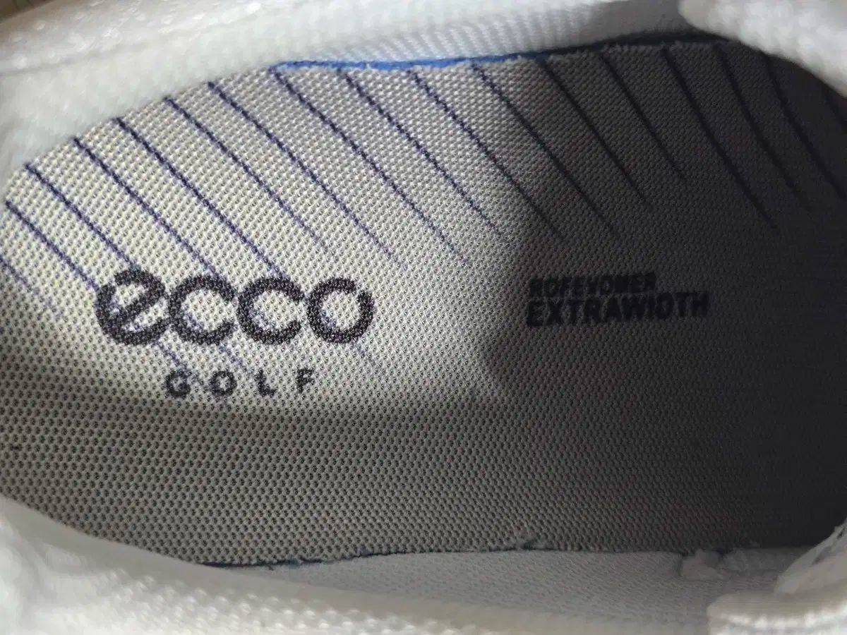 エコ ゴルフシューズ ボア SYSTEM システム 240 女 LLC-HASEGAWATOSO_COM